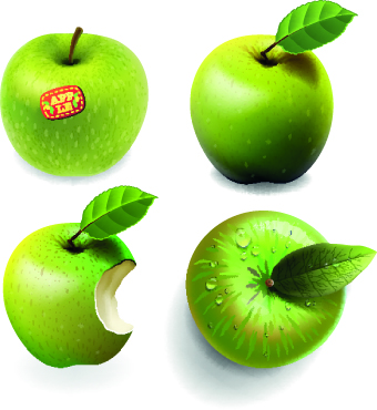 illustration fresh creative apples apple 