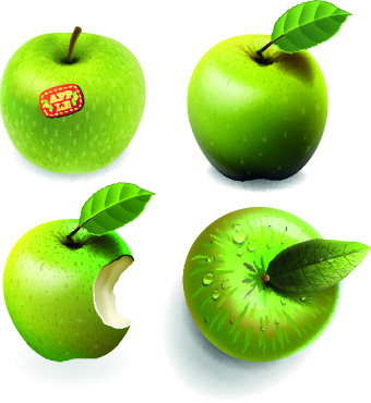 Fresh Apples creative illustration vector 01