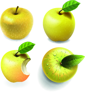 Fresh Apples creative illustration vector 02