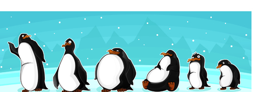 penguin funny animals 