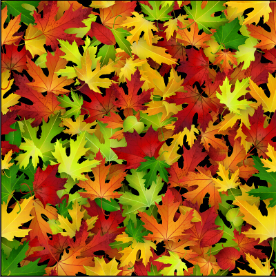 realistic pattern leaves autumn leaves autumn 