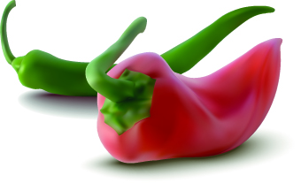 Realistic chilis design vector illustration