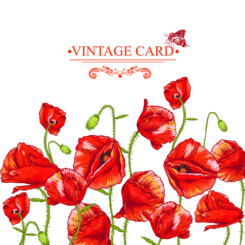 vector graphics vector graphic Retro font red poppies cards 