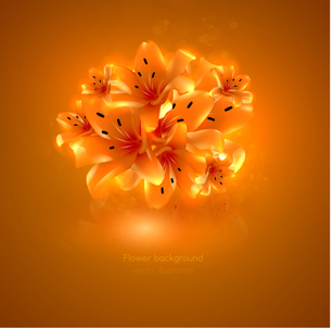 Romantic heart cards vector background set 01