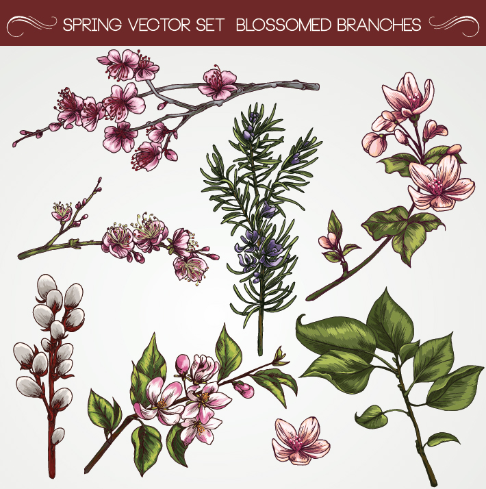 Set of Vintage flowers vector 03