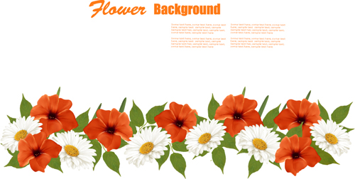 orange flowers background vector 01 Summer white and orange flowers background vector 01
