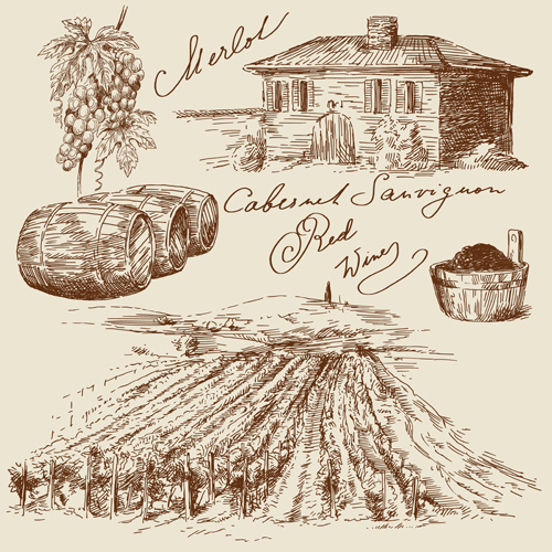 Wine barrels vector 03