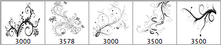 5 Floral Ornaments Set of vector Photoshop Brushes