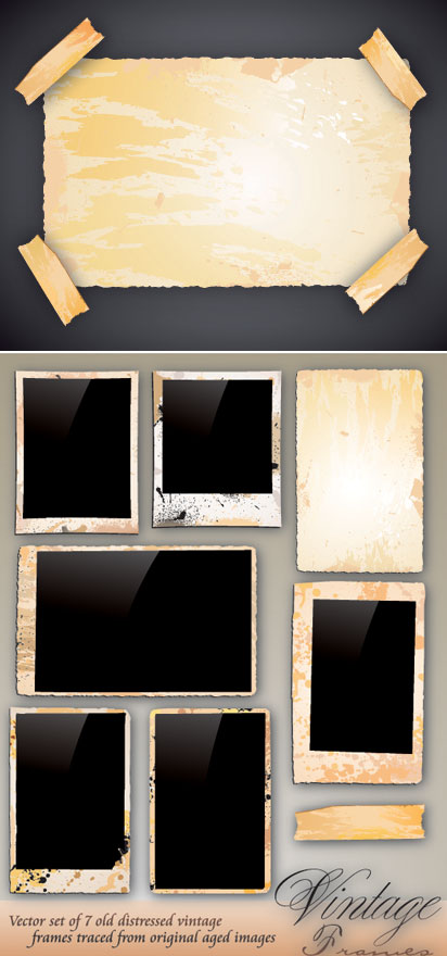 Photo frame vector