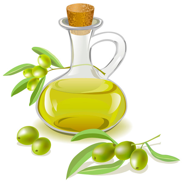 Olive oil bottle vector