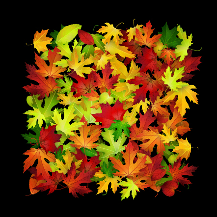 background autumn leaves autumn 