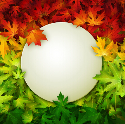 Autumn leaves beautiful background art 03