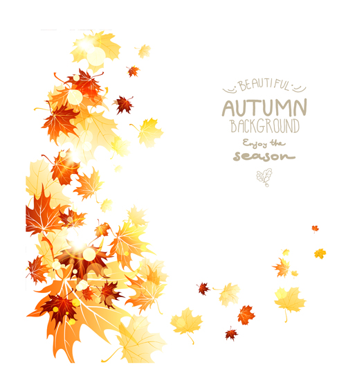 leaves background beautiful background autumn leaves autumn 