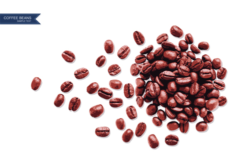 coffee beans coffee background vector background 