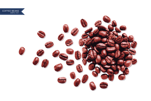 Coffee beans with white background vector 02