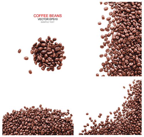 coffee beans coffee beans background vector 