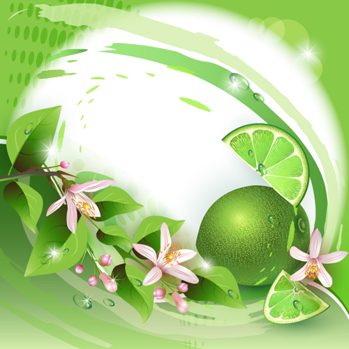 Elements of Lemon and flowers vector 02