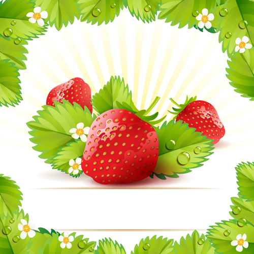 Fresh Strawberry vector 03