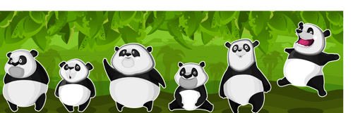 panda funny animals 