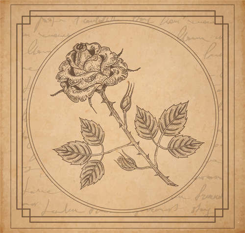 Old paper with floral background vector set 02