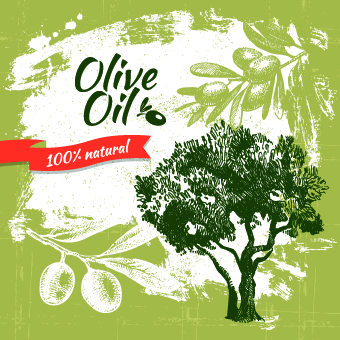 vintage olive oil olive background vector background  