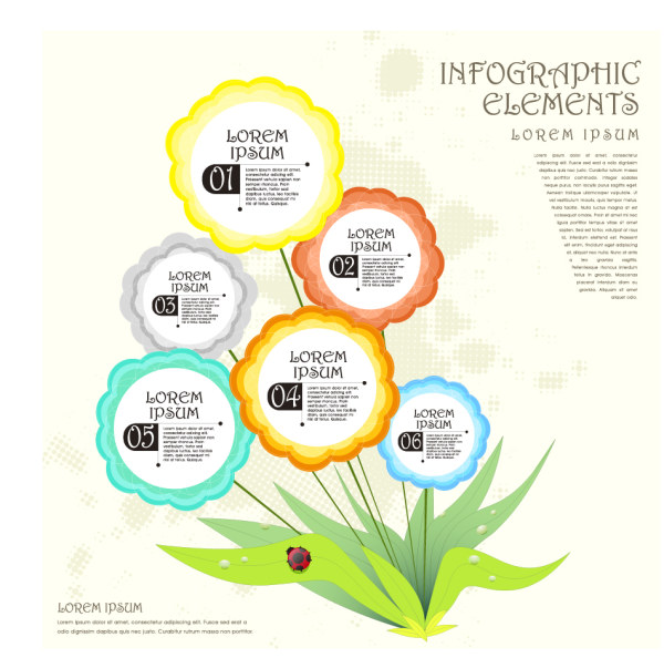 Plant flower infographic vector