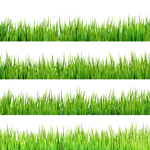 realistic grass borders 