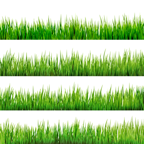 realistic grass borders 