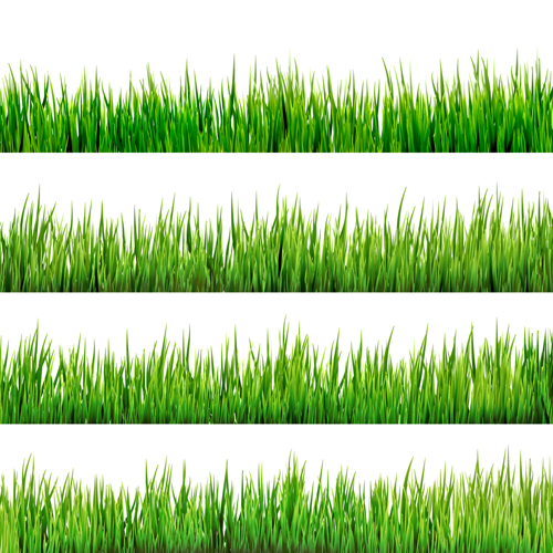Realistic grass borders design vector 02