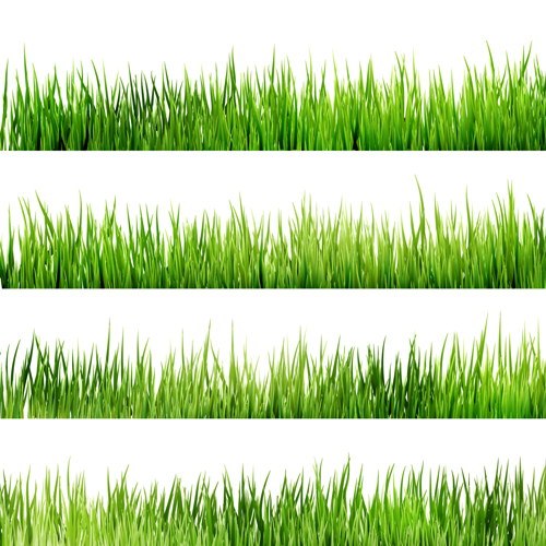 Realistic grass borders design vector 03