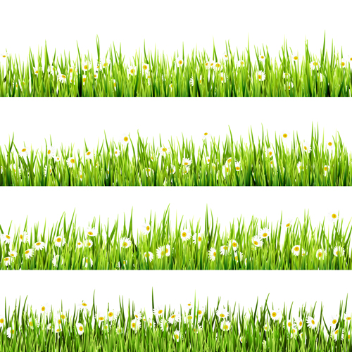 Realistic grass borders design vector 05
