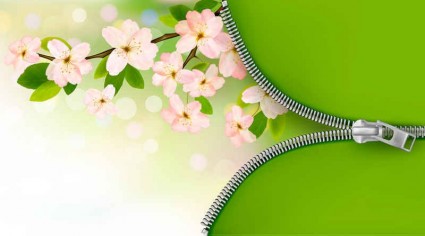 Green background with pink flower vector Green background with pink flower vector
