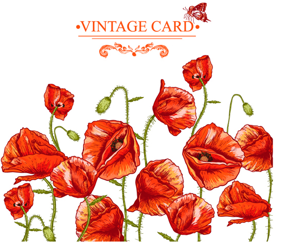 vintage poppies Hand drawing card 