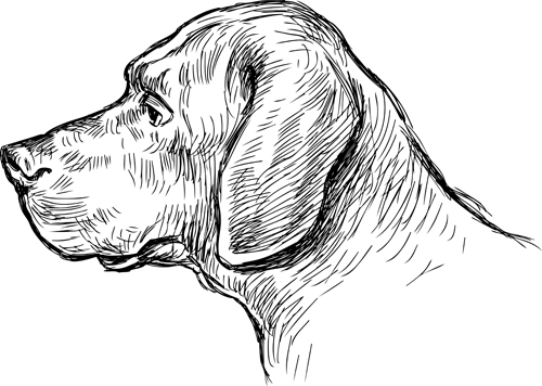 material hand drawn dog 
