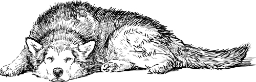 Hand drawn dog art vector material 05
