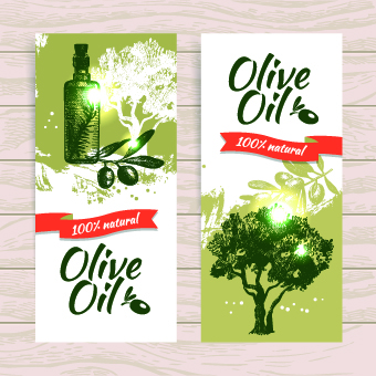 vintage olive oil olive background vector background 