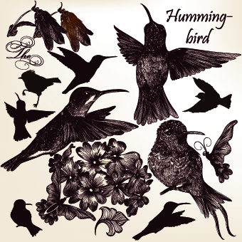 Vintage birds and butterflies design vector 02