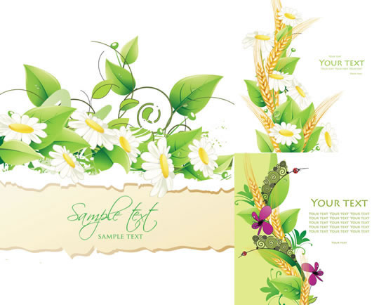 Beautiful flowers backgrounds