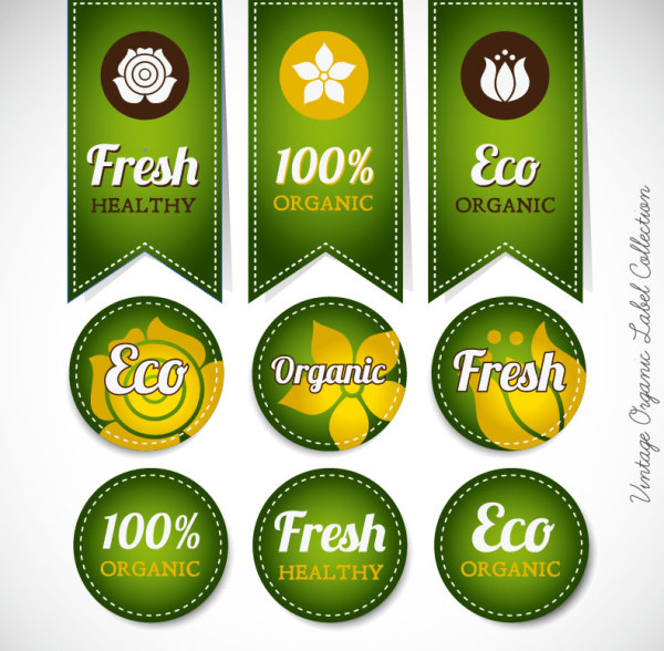 Green labels design vector 02
