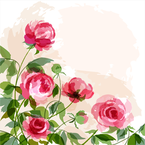 Hand drawn watercolor peonies vectors