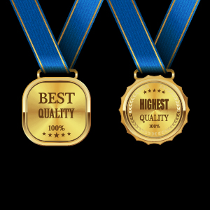 Sparkling award medal vector set 04