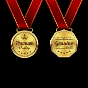 Sparkling award medal vector set 05