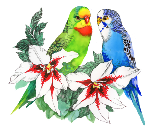 watercolor flowers birds 