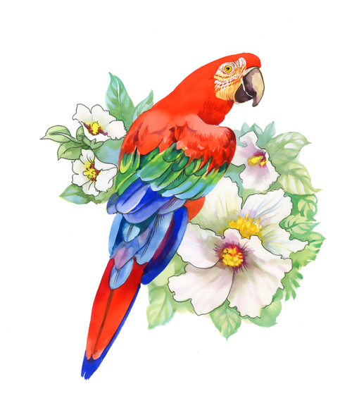 watercolor flowers flower birds 