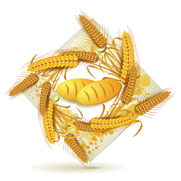 Wheat with bread vector material 05