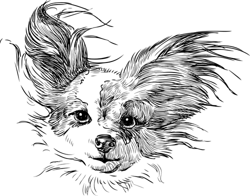 sketch dogs dog 