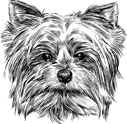 Sketch dog design vector 03