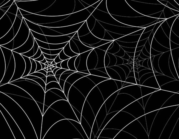 spiderweb design elements vector 05