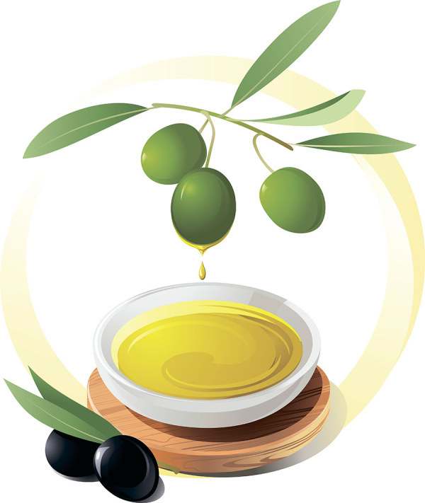 olive oil olive 