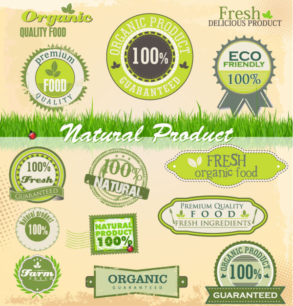 Green labels design vector 04